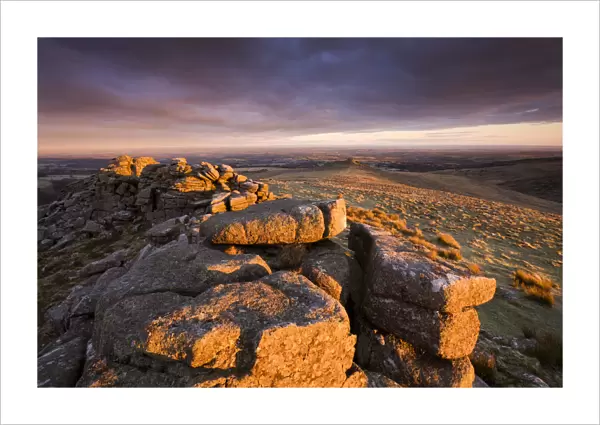 The first rays of early morning sunlight bathe Higher Tor in a rich glow, Belstone Common