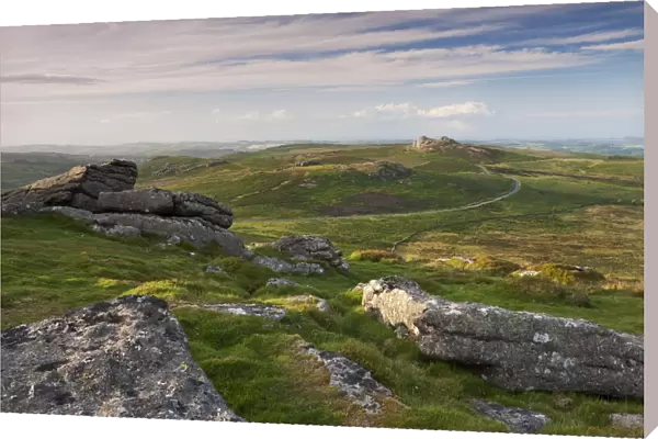 View towards Haytor and Saddle Tor from Rippon Tor, Dartmoor, Devon, England. Summer