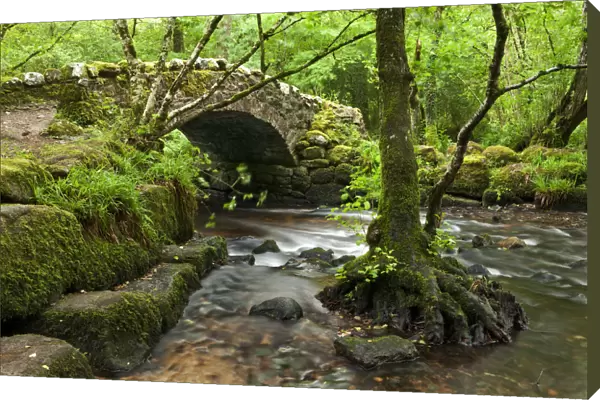Medieval Hisley Bridge spanning the River Bovey in Hisley Wood, Dartmoor, Devon, England