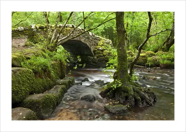 Medieval Hisley Bridge spanning the River Bovey in Hisley Wood, Dartmoor, Devon, England