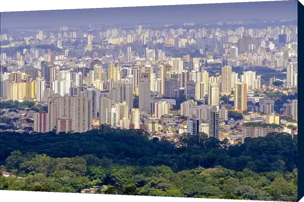 Brazil, view of Sao Paulo city skyline from the forest of the Serra da Cantareira