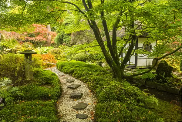 Path Through Japanese Garden, Tatton Park, Cheshire, England