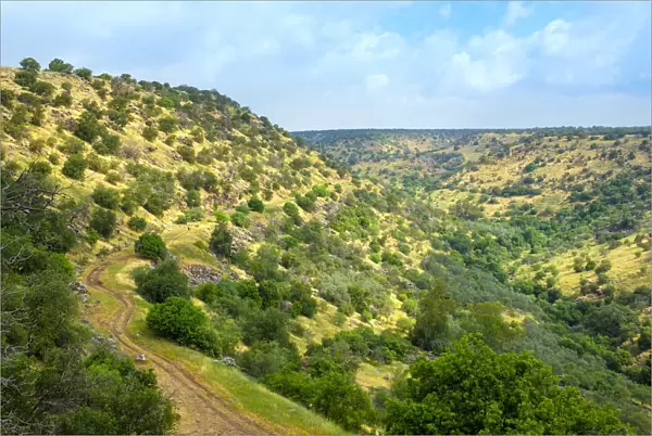Nahal Meshushim Reserve, part of the Yehudiya Forest Nature Reserve, central Golan