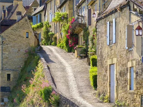 Steep street lined with old houses, Beynac-et-Cazenac, Dordogne Department, Aquitaine