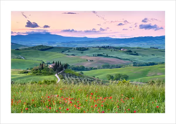 Podere Belvedere at sunrise, San Quirico d Orcia, Val d Orcia, Tuscany, Italy