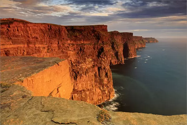 Ireland, Clare county, Cliffs of Moher at sunset