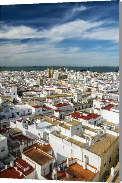 Panoramic view over the old city, Cadiz, Andalusia, Spain