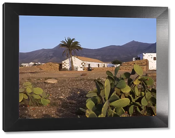 Typical farmhouse, Fuerteventura, Kanarische Inseln, Spanien