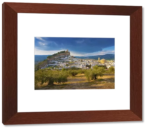 Spain, Andalucia, Granada province, Montefrio, Olive grove in foreground