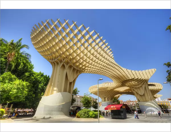 Metropol Parasol, Sevilla, Andalusia, Spain