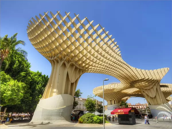 Metropol Parasol, Sevilla, Andalusia, Spain
