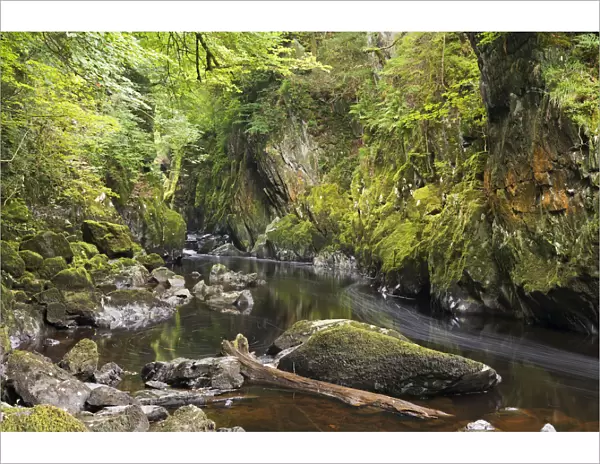 The Fairy Glen, Betws-y-Coed, Snowdonia National Park, Wales. Autumn (September)