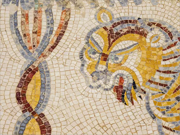 Mosaic Floor in Umm ar-Rasas, Amman Governorate, Jordan