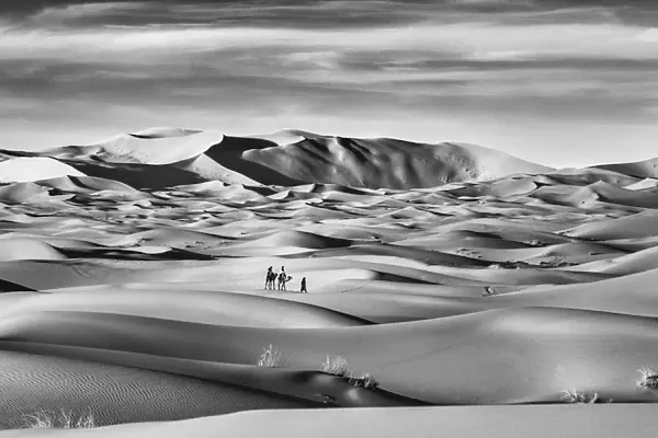 Sand dunes of Erg Chebbi, Sahara, Morocco