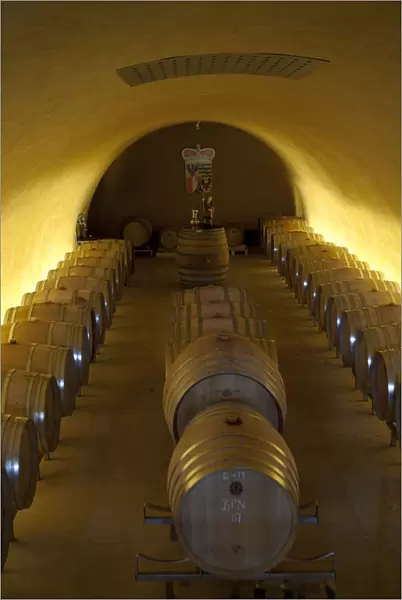 Liechtenstein, Vaduz. Wine cellar of the Prince of Liechtenstein
