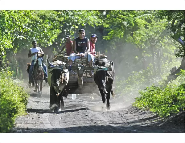 Workers on Ox cart near Leon, Nicaragua, Central America