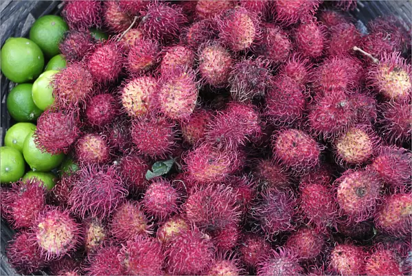 Exotic fruit at a market in Leon, Nicaragua, Central America