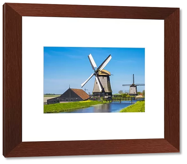 Netherlands, North Holland, Schermerhorn. Historic windmills at Museummolen Schermerhorn