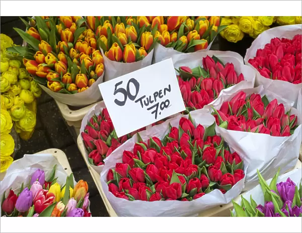 Bouquets of tulips for sale in the Bloemenmarkt floating flower market, Amsterdam