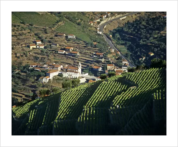 Vineyards at the Douro region, the origin of the world famous Port wine