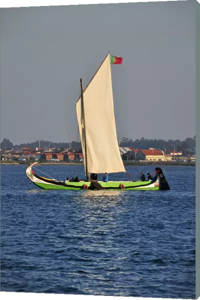 A traditional boat (moliceiro) in the Aveiro river. Portugal