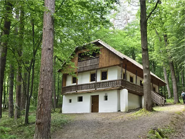 Traditional house in the forest. Bran, Brasov county