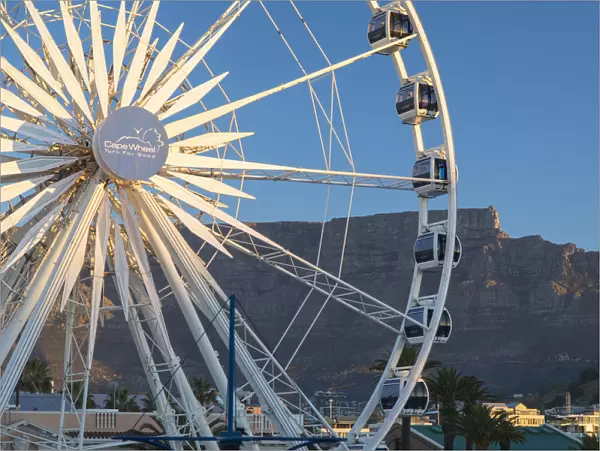 Cape Wheel and Table Mountain, V+A Waterfront, Cape Town, Western Cape, South Africa
