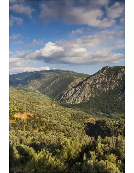 Greece, Central Greece Region, Delphi, landscape above Delphi Valley