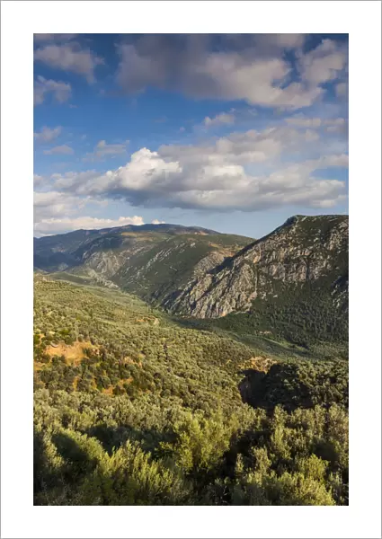 Greece, Central Greece Region, Delphi, landscape above Delphi Valley