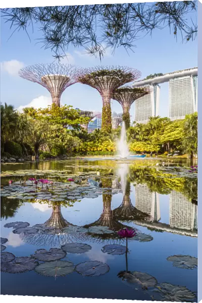 The famous Supertree grove at Gardens by the Bay, Singapore