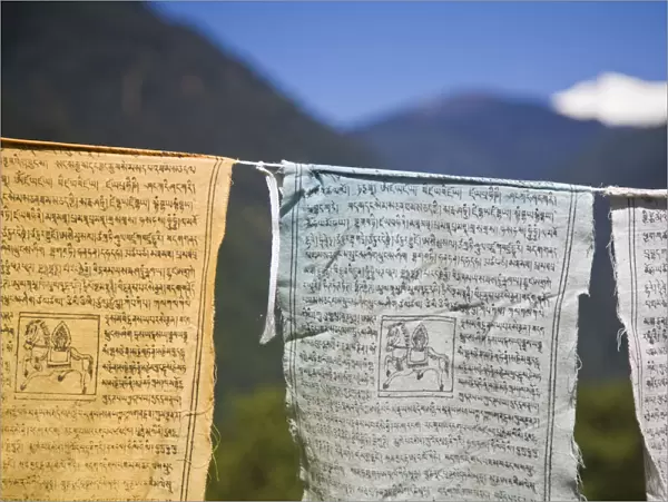 India, Sikkim, Yuksom - Yuksam, Prayer flags and Kanchenjunga