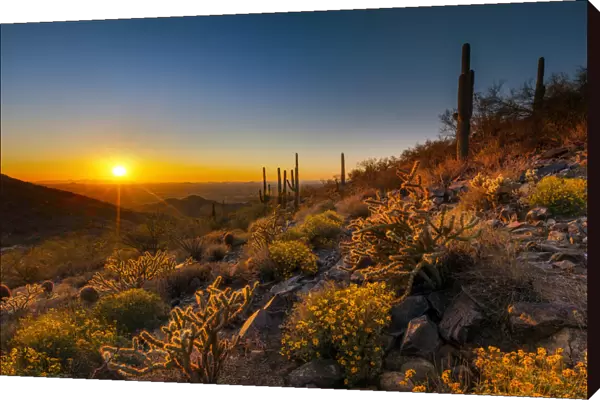 Sunset at McDowell Sonoran Preserve, Scottsdale, Arizona, USA