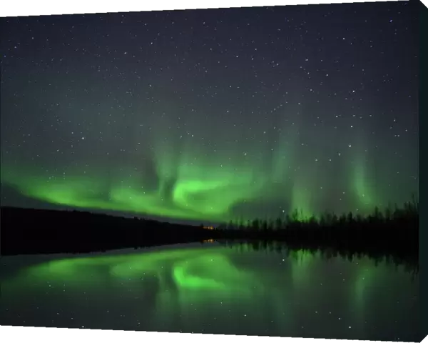Aurora Borealis, Fairbanks, Alaska, USA