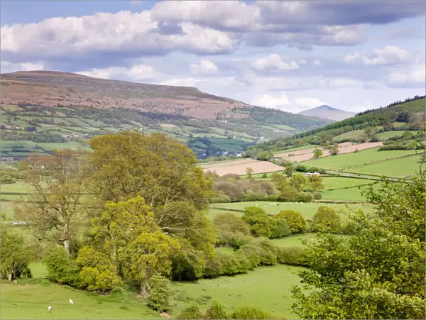 Rolling countryside near Bwlch with views to Sugar Loaf mountain, Brecon Beacons National