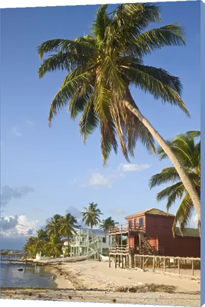 Belize, Caye Caulker, Beachfront hotels