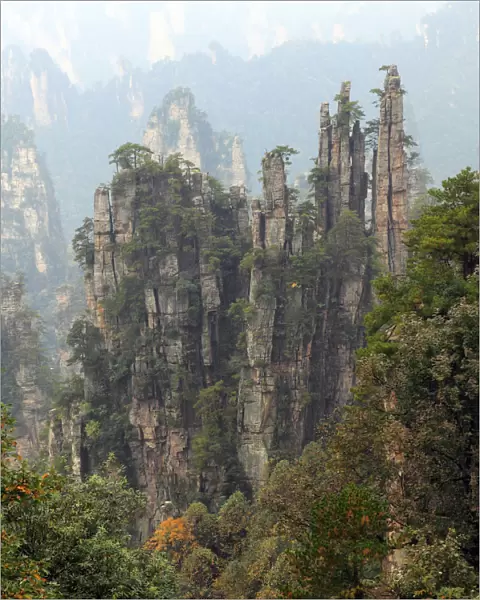 Zhangjiajie National Forest Park, Hunan, China