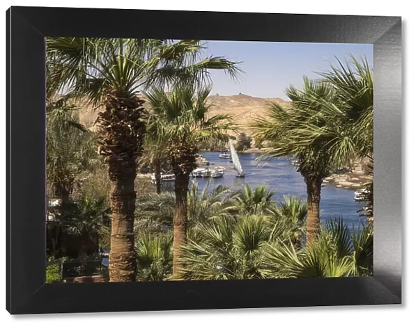 Egypt, Upper Egypt, Aswan, Gardens at the Sofitel Legend Old Cataract hotel situated