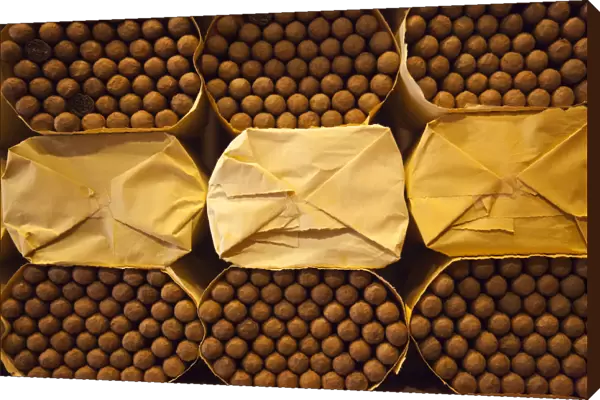 Dominican Republic, Santo Domingo, Zona Colonial, Cohiba cigars stored at the Boutique