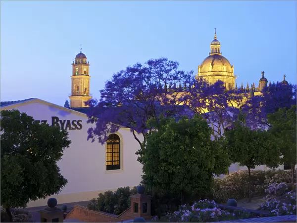 Bodegas Tio Pepe and The Cathedral of San Salvador at Dusk, Jerez de la Frontera