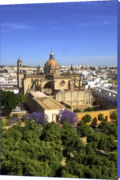 The Cathedral of San Salvador with Blossoming Jacaranda Trees, Jerez de la Frontera