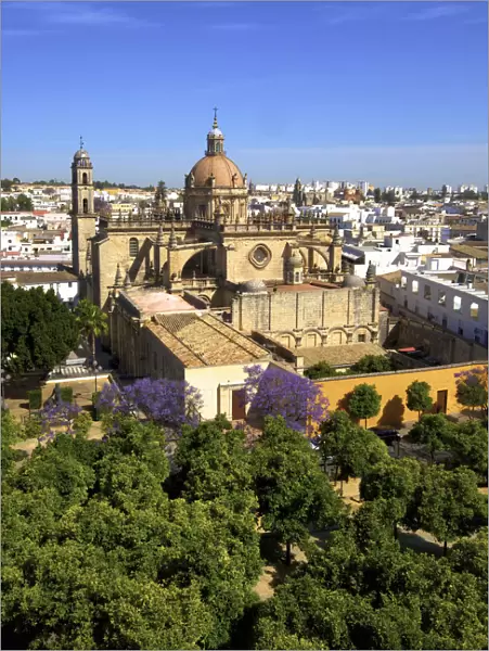 The Cathedral of San Salvador with Blossoming Jacaranda Trees, Jerez de la Frontera