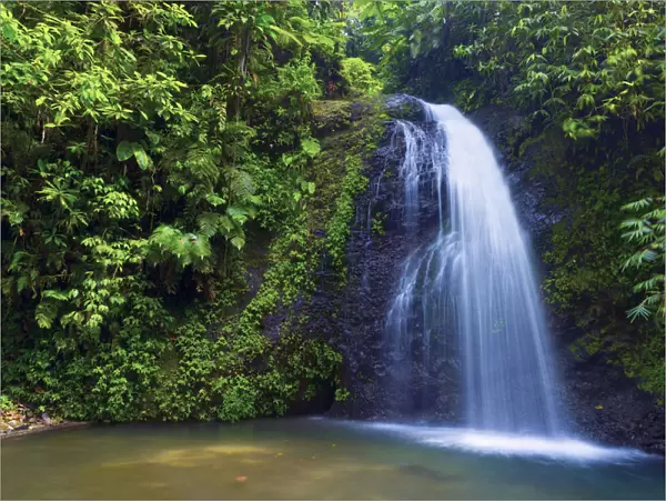 Caribbean, Martinique, Cascade de Saut Gendarme (Leaping Constable Waterfall)