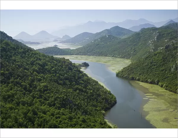 Montenegro, Rijeka Crnojevica, Crnojevica River Delta near Lake Skadar