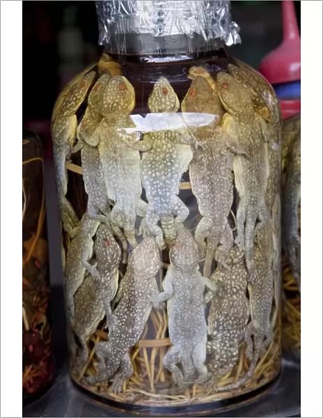 Vietnam, Hue, Preserved Frogs in Traditional Medicine Shop