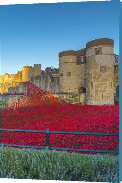 England, London, Tower of London, Blood Swept Lands and Seas of Red by ceramic artist