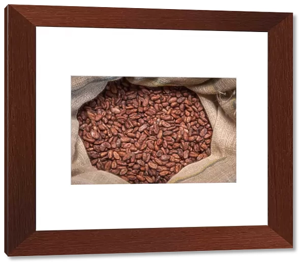 Africa, Sao Tome and Principe. Dried cocoa beans for the chocolate factory
