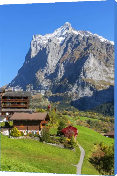 Grindelwald and Wetterhorn, Berner Oberland, Switzerland