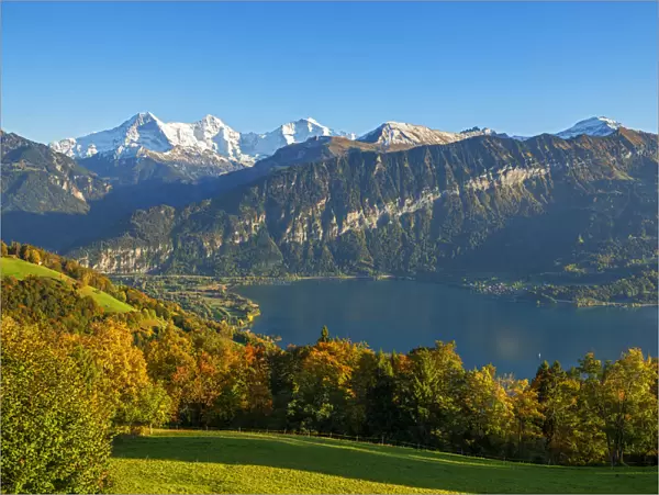View from Beatenberg on Lake Thun with Eiger, Monch and Jungfrau, Berner Oberland, Switzerland