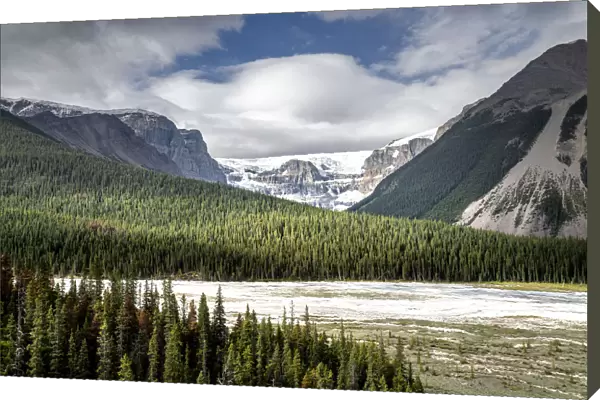 Glacier and green landscape, Icefields Parkway, Canada