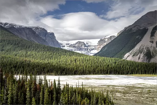 Glacier and green landscape, Icefields Parkway, Canada